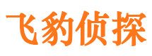 隆子市婚外情调查